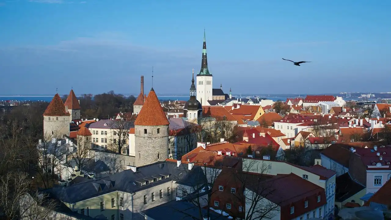 Best Apps To Learn Estonian: Keeleklikk, Drops, And More