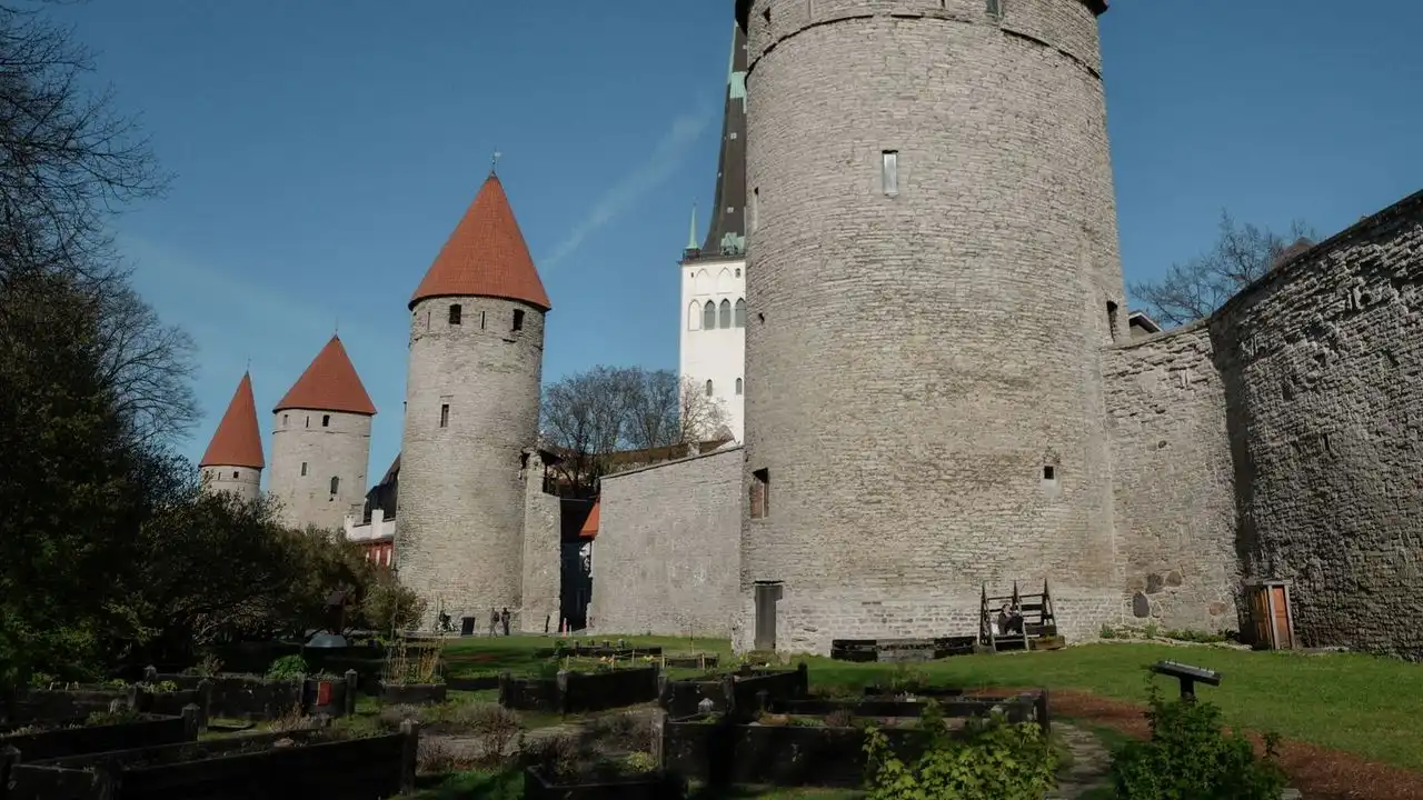 Common Estonian Slang Words For Daily Conversations