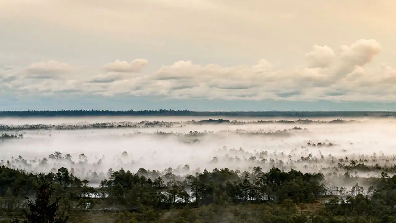 Clear Rules For Understanding Estonian Consonant Gradation