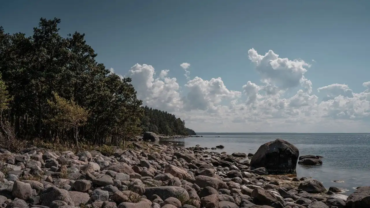 Estonian Partitive Case Rules And Exceptions Explained