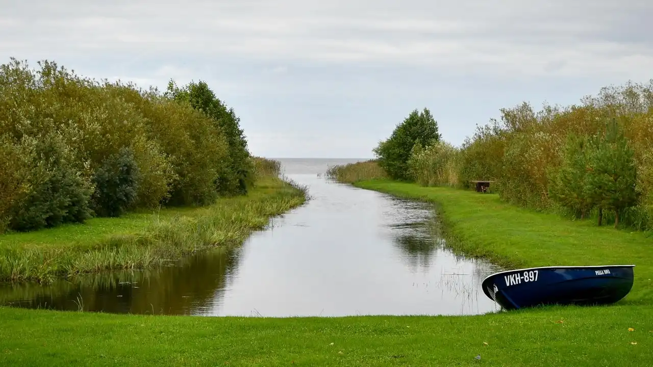 Is Estonian Hard To Learn? Let's Be Realistic