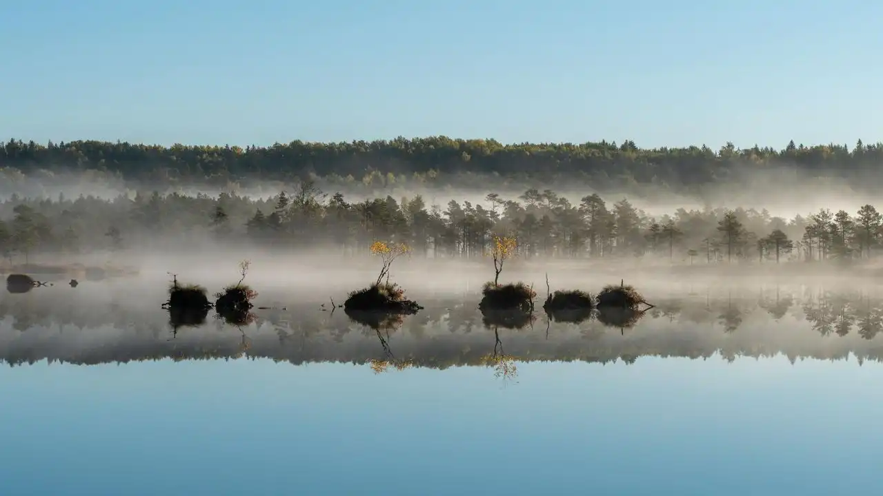 How To Learn Estonian Fast (Strategies And Study Tips)