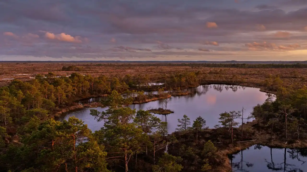 A Realistic Roadmap For Learning Estonian In One Year