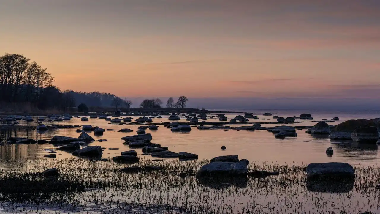 Why Learn Estonian: 7 Surprising Benefits Of Studying Eesti Keel